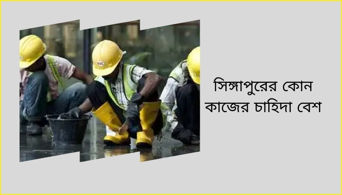 সিঙ্গাপুরের কোন কাজের চাহিদা বেশি